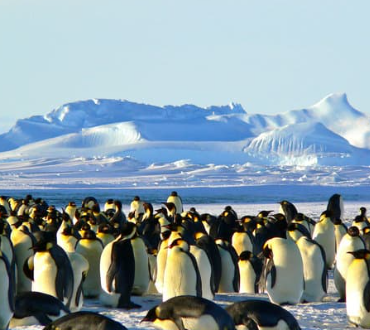 Antarctica – January 15 – 27, 2026